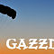gazzman-sig.jpg