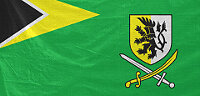 aaf-flag200.jpg