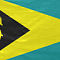fia-flag200.jpg